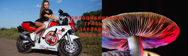 героин Дмитриев