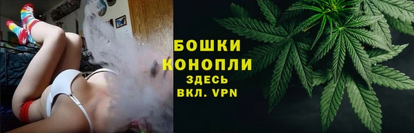 альфа пвп Дмитровск