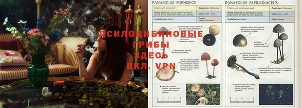 каннабис Дмитров