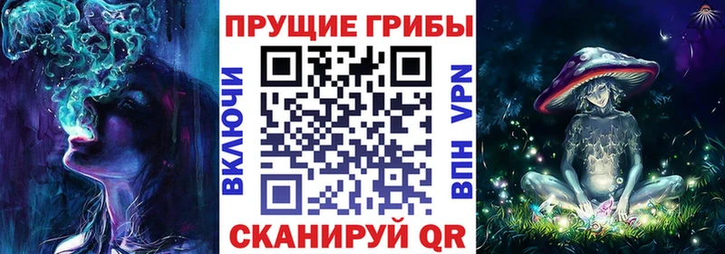 Купить закладки  Бакал  Псилоцибиновые грибы ЛСД 
